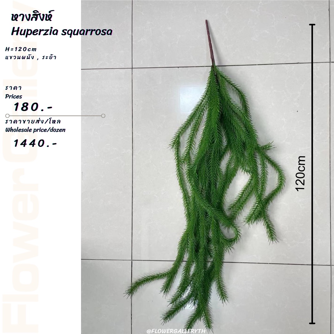 青華緑彩草花紋 土瓶 香蘭社 磁芸工房製 未使用品 - 陶芸