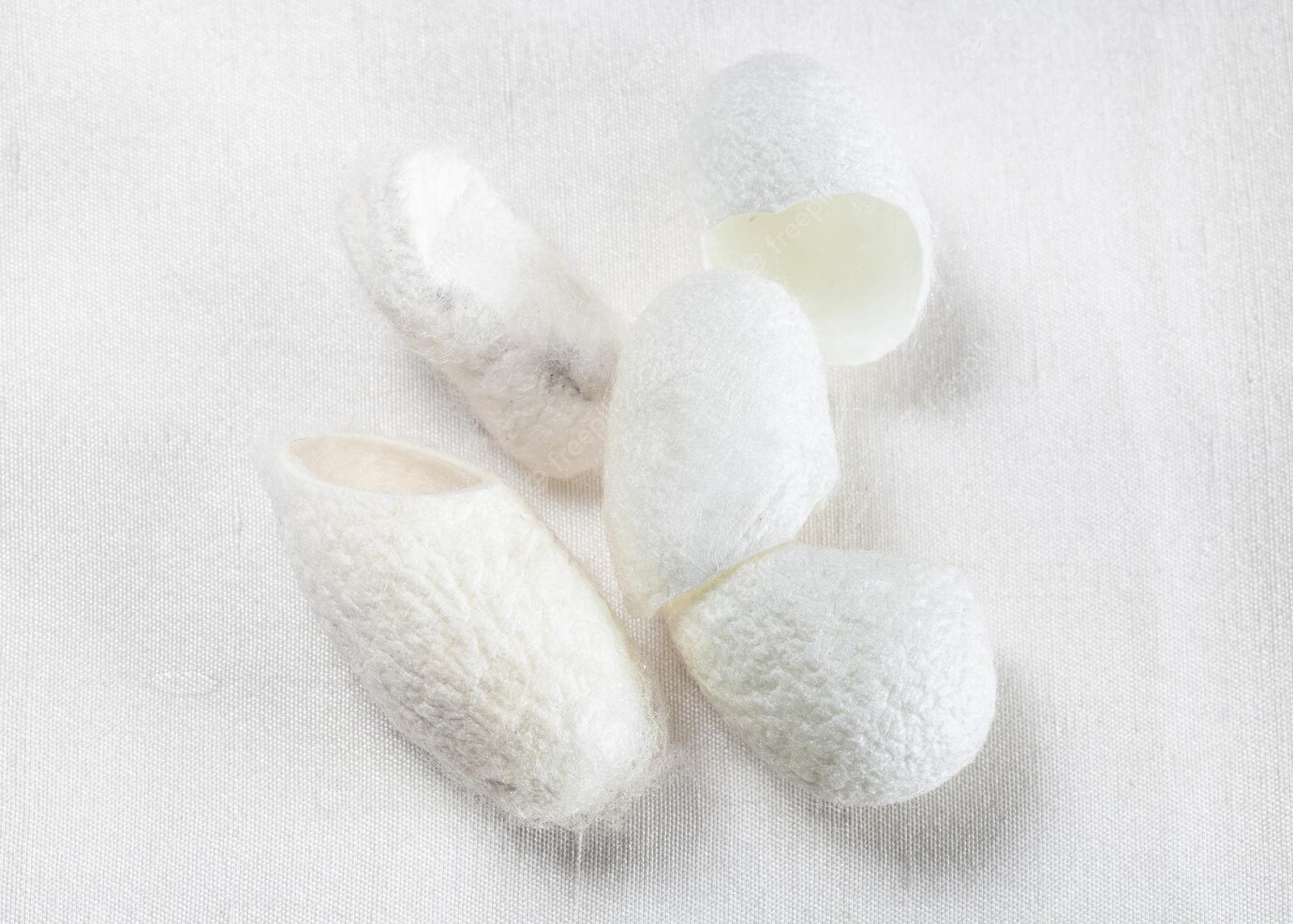 silkworm cocoon facial scrub