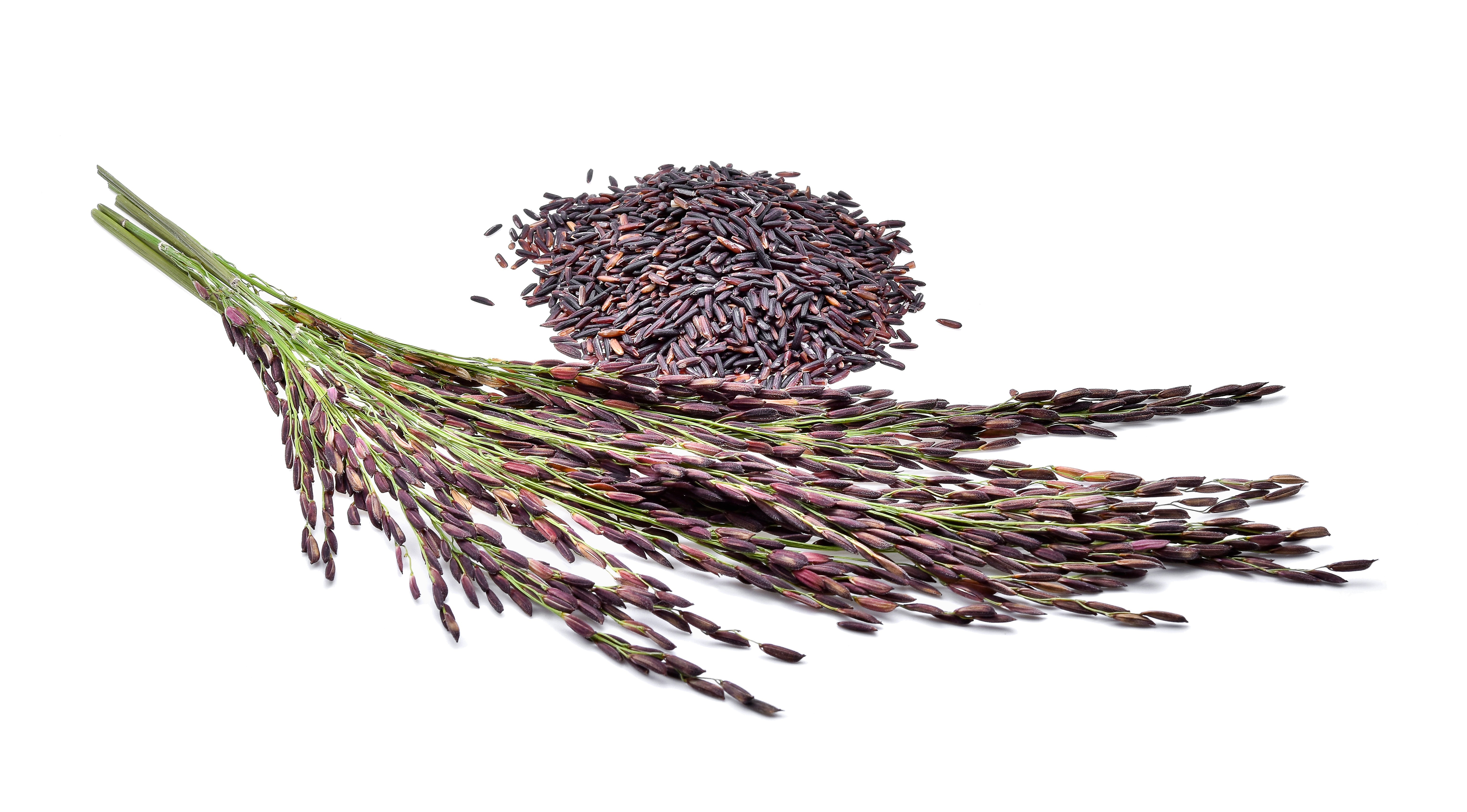 Black rice