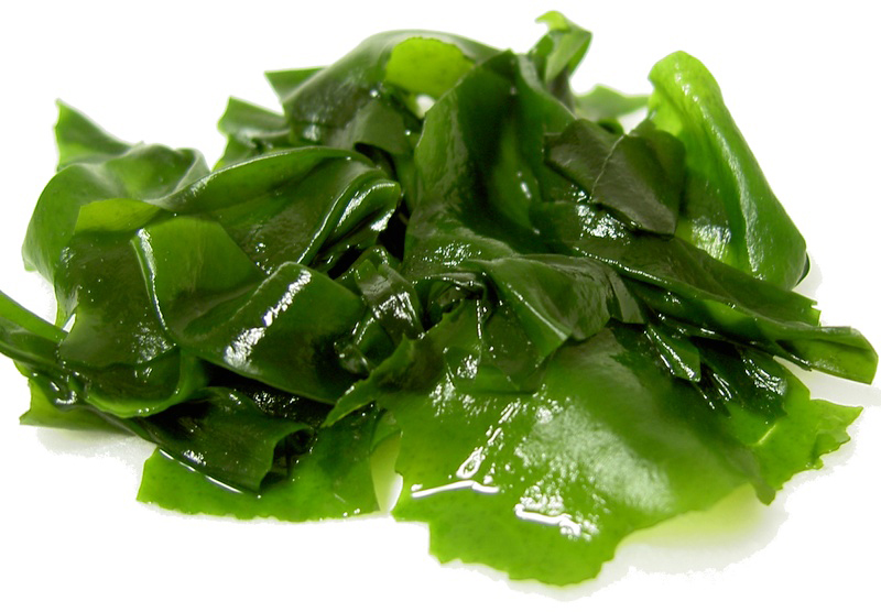 สเต็มเซลล์สาหร่ายเคลป์ (Kelp Stemcell) - Biomix