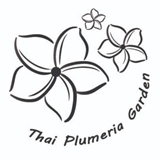 Thai Plumeria logo