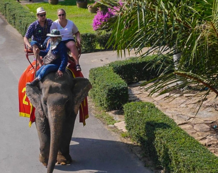 Nongnooch Village Pattaya Elephant Ridding (20minutes)