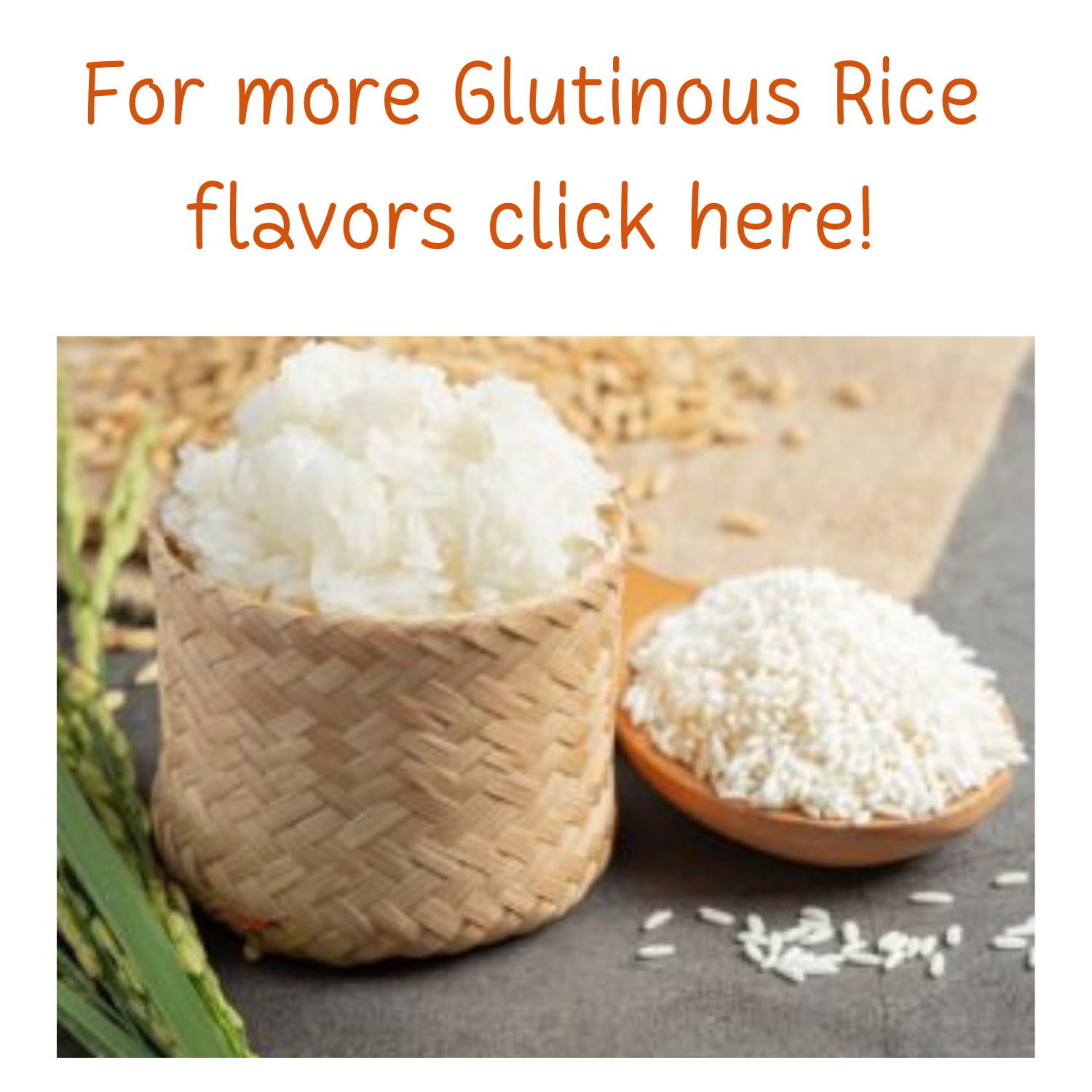 Allwinfood(Thailand)-Glutinous rice flavour(WT01883-2) - allwinfoodthailand