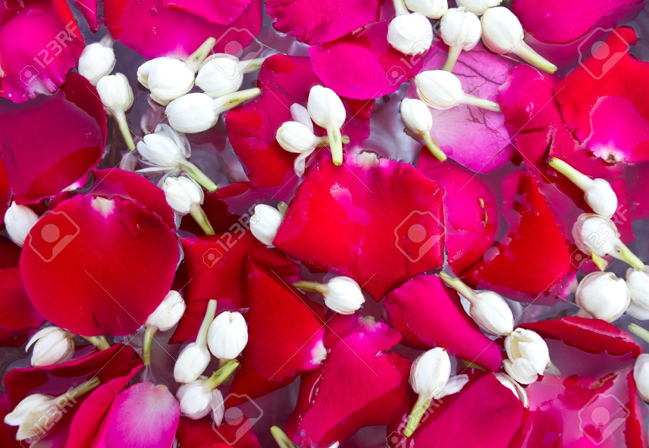 Jasmine Rose Allwinfoodthailand