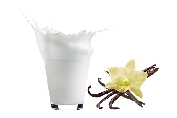 Vanilla Milk Flavor Allwinfoodthailand 