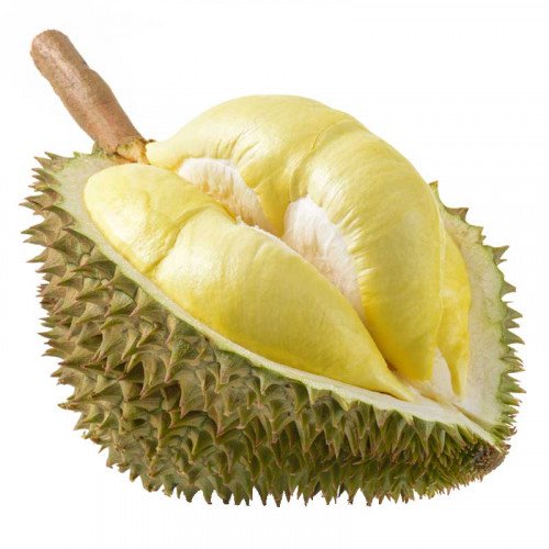 Durian powder