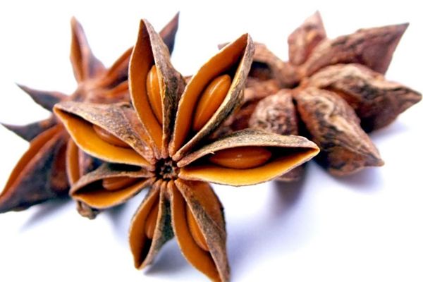 CHINESE STAR ANISE