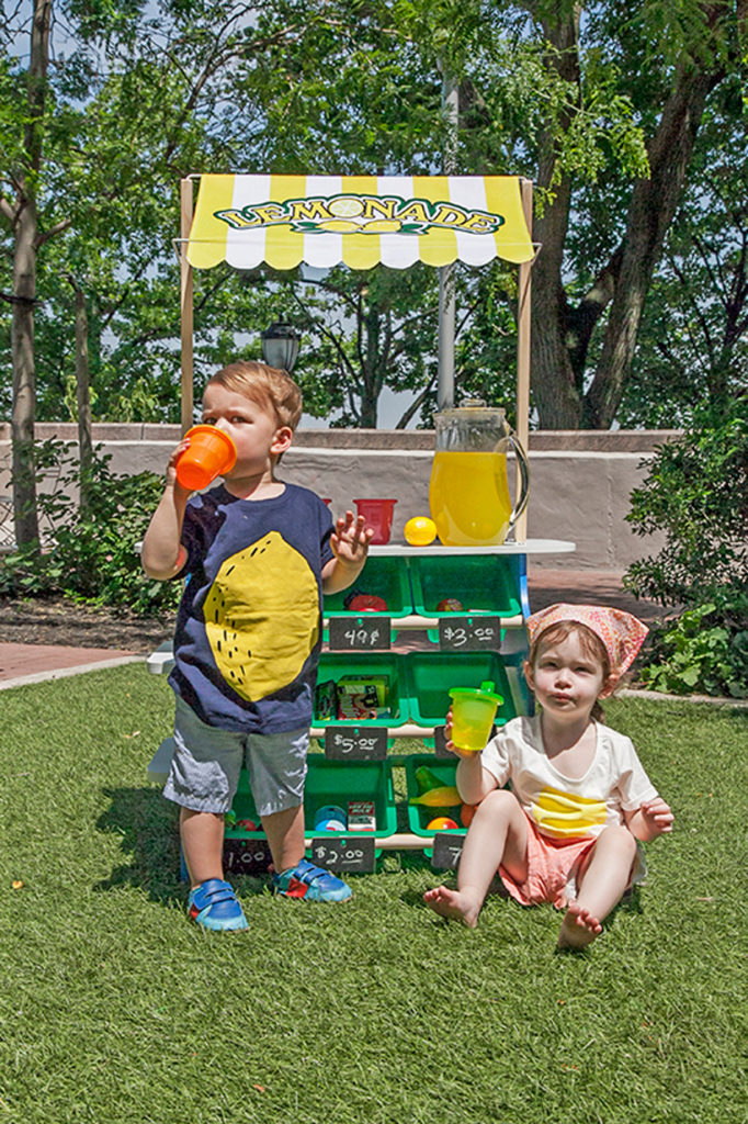 grocery or lemonade stand for kids