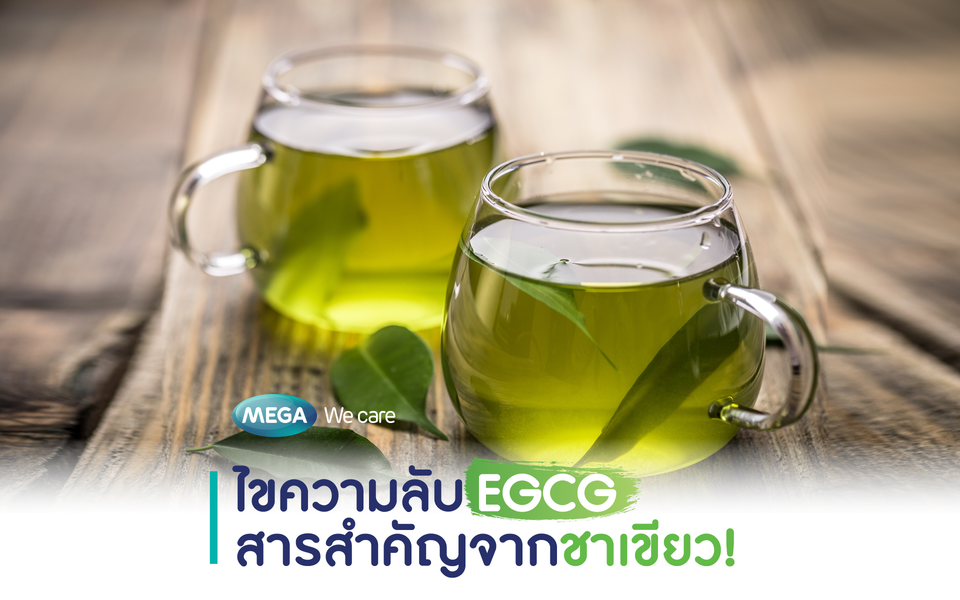 ไขความลับ  EGCG สารสำคัญจากชาเขียวที่มีดีมากกว่าการลดน้ำหนัก