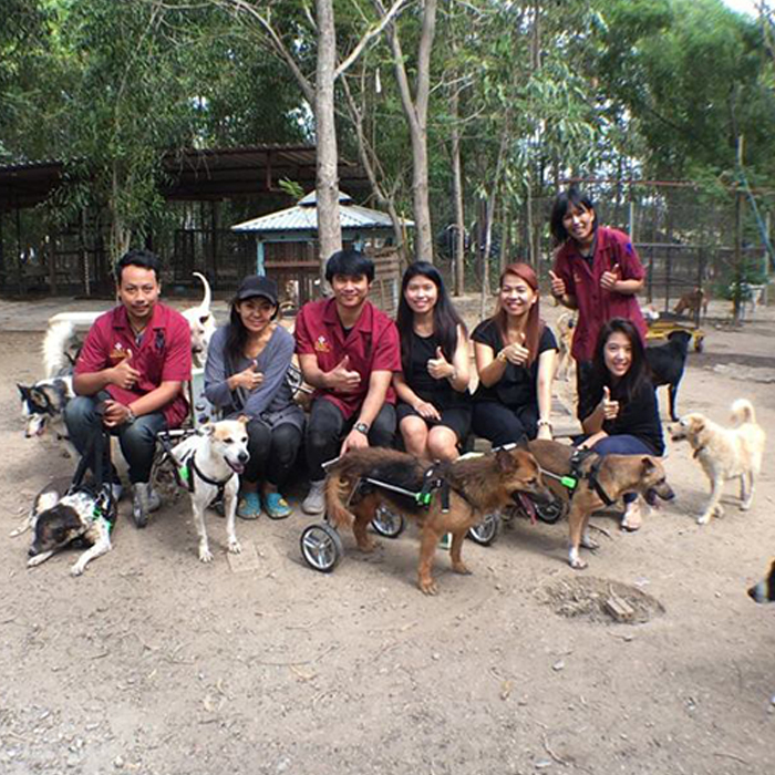 Petaneer donate FlexzWheels and PetWellSuit to Dog Shelter in Suphanburi, Thailand.