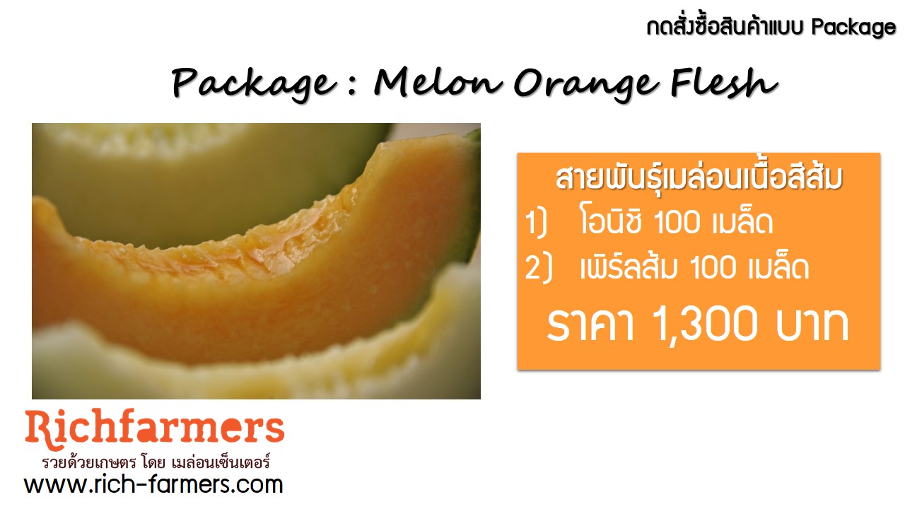 Package : Melon Orange Flesh