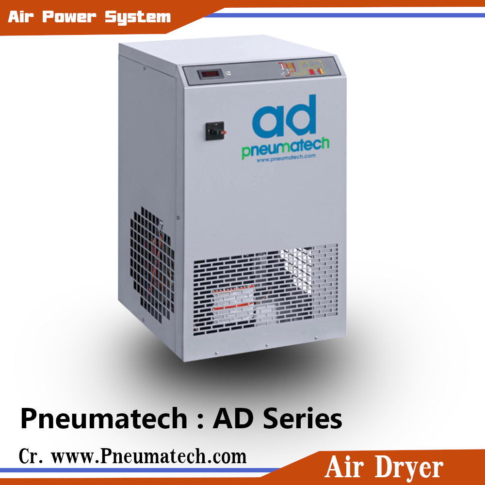 Air Dryer Pneumatech AD 103000 airpowersystem