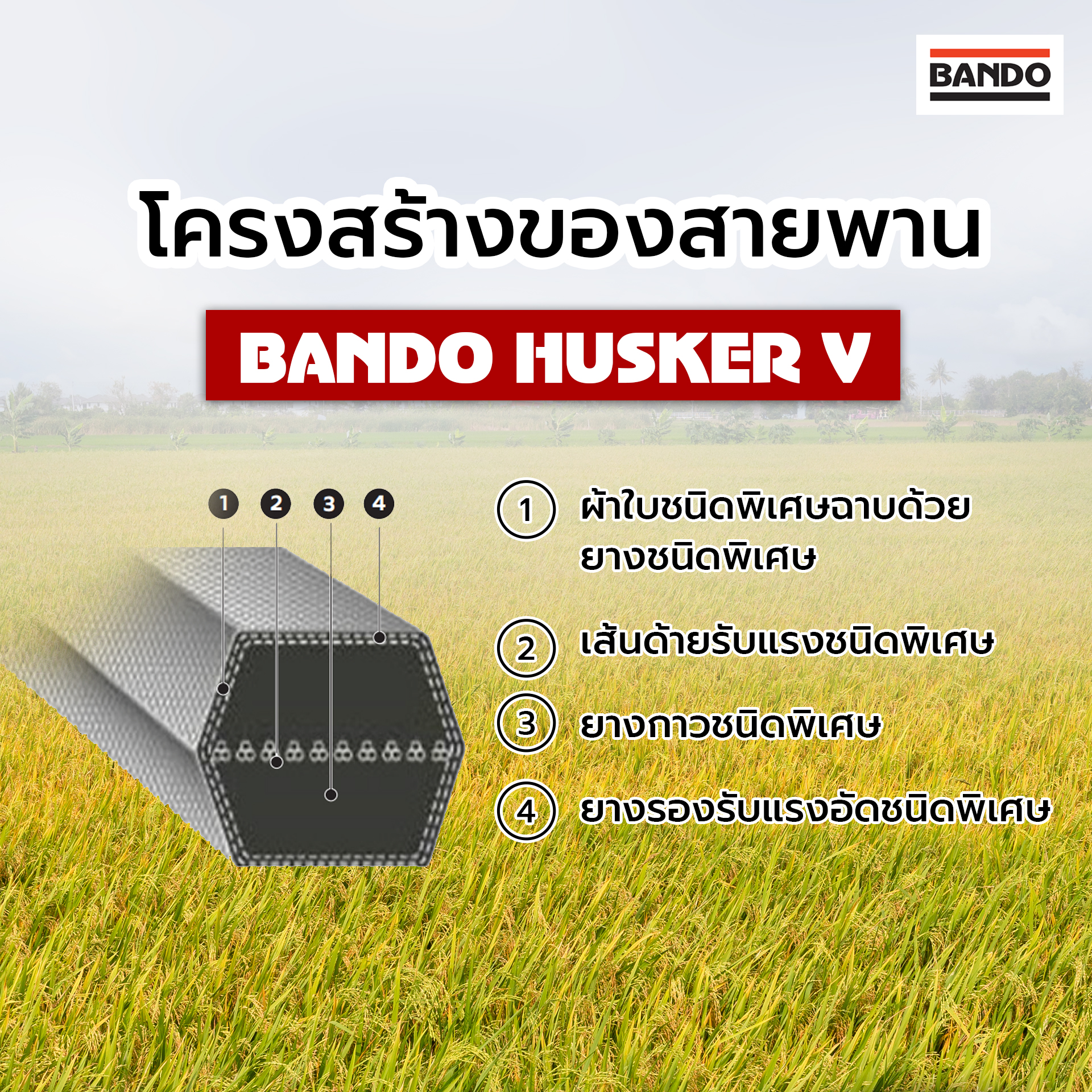 BB92 BB94 BB95 BB96 BB98 BB100 BB113 สายพานโรงสี สายพานร่องวี สายพานเครื่องกระเทาะเปลือกข้าว สายพานเครื่องสีข้าว สายพานหกเหลี่ยม hexagonal v belt สายพานการเกษตร สายพาน Husker V