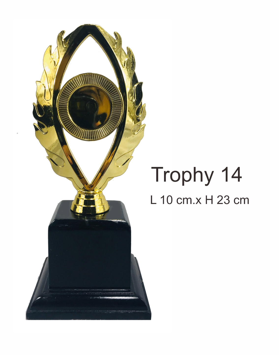 Trophy14