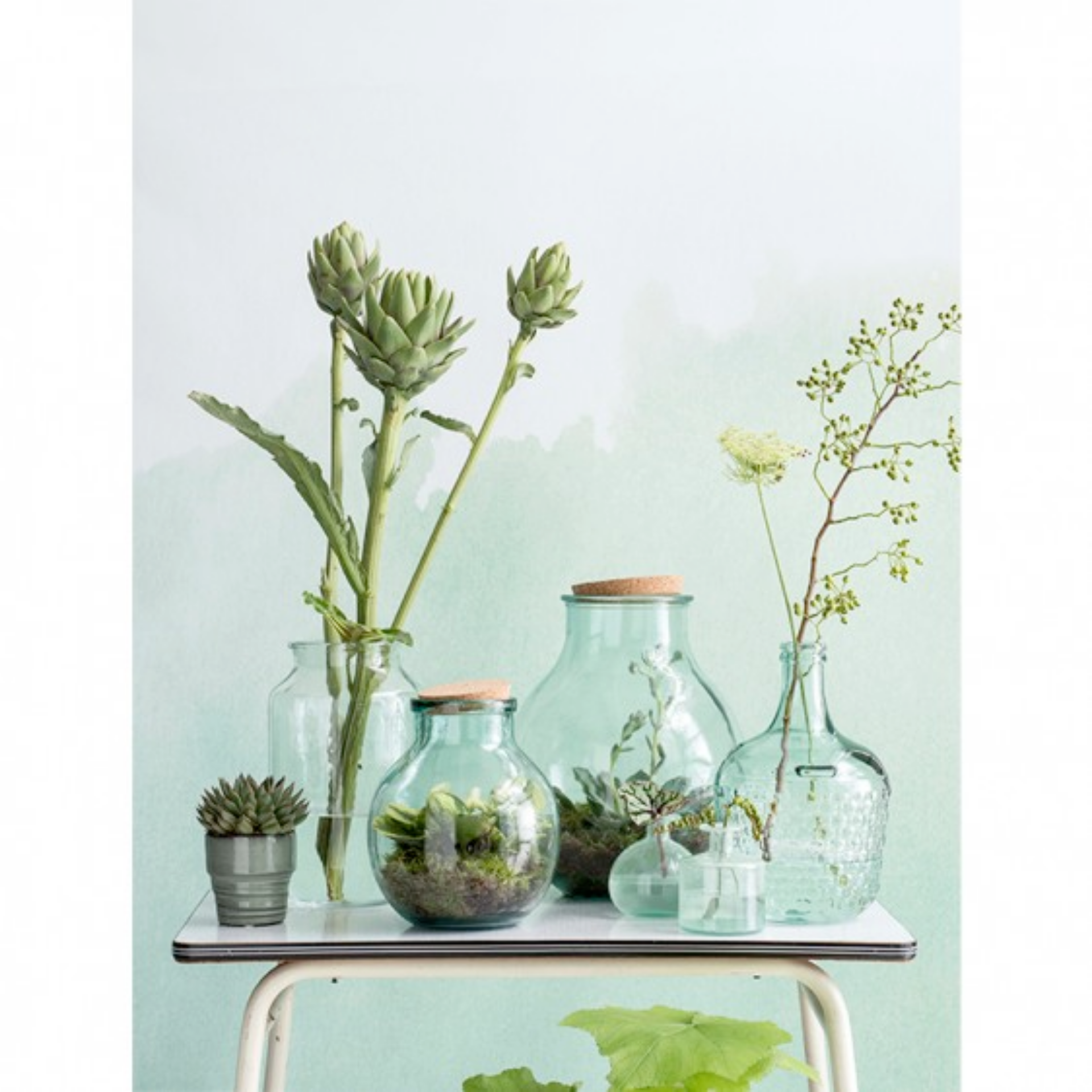 TERRARIUM M S Natural Design outdoorfurniturethailand