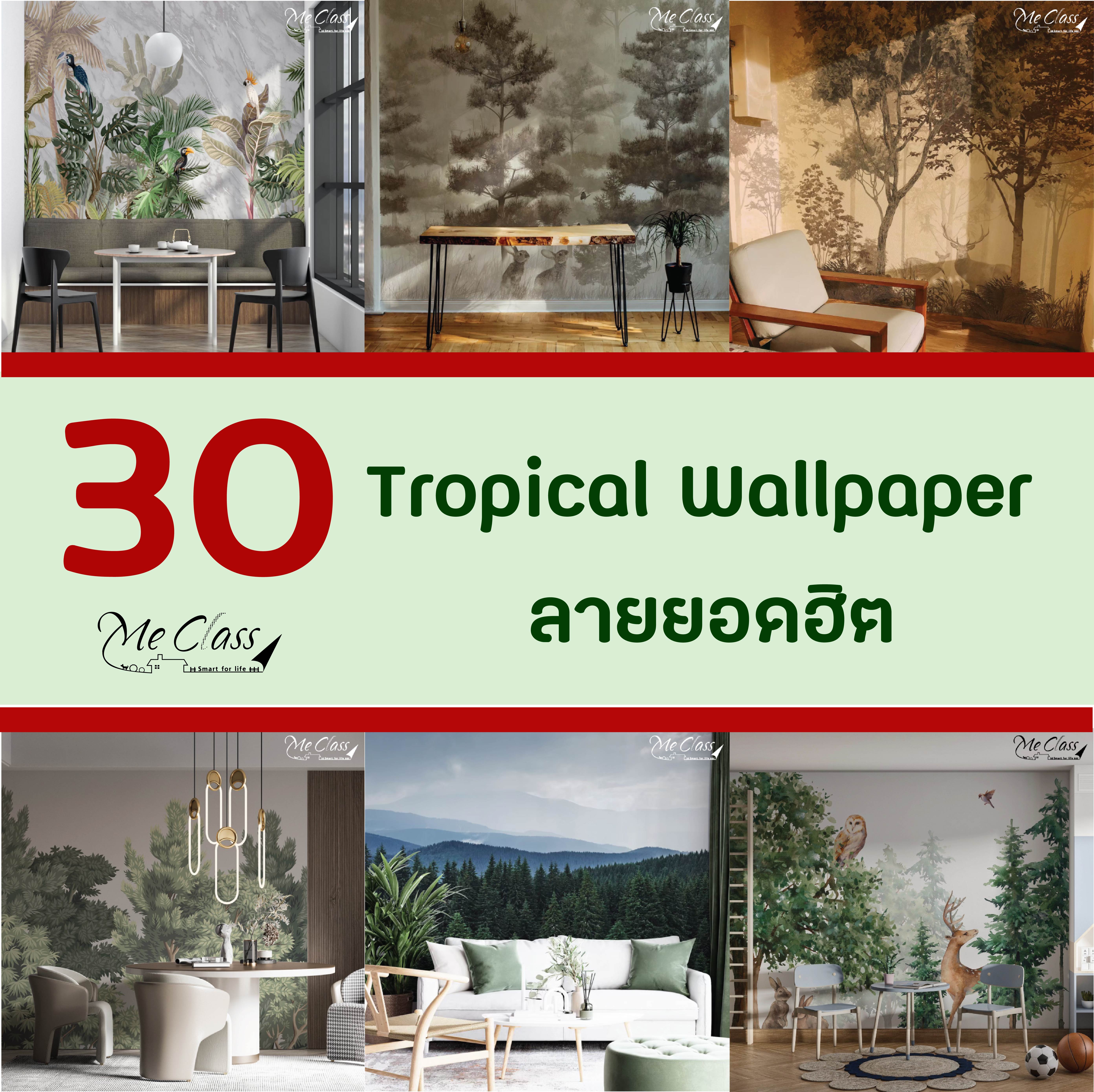 30 Tropical Wallpaper ลายยอดฮิต