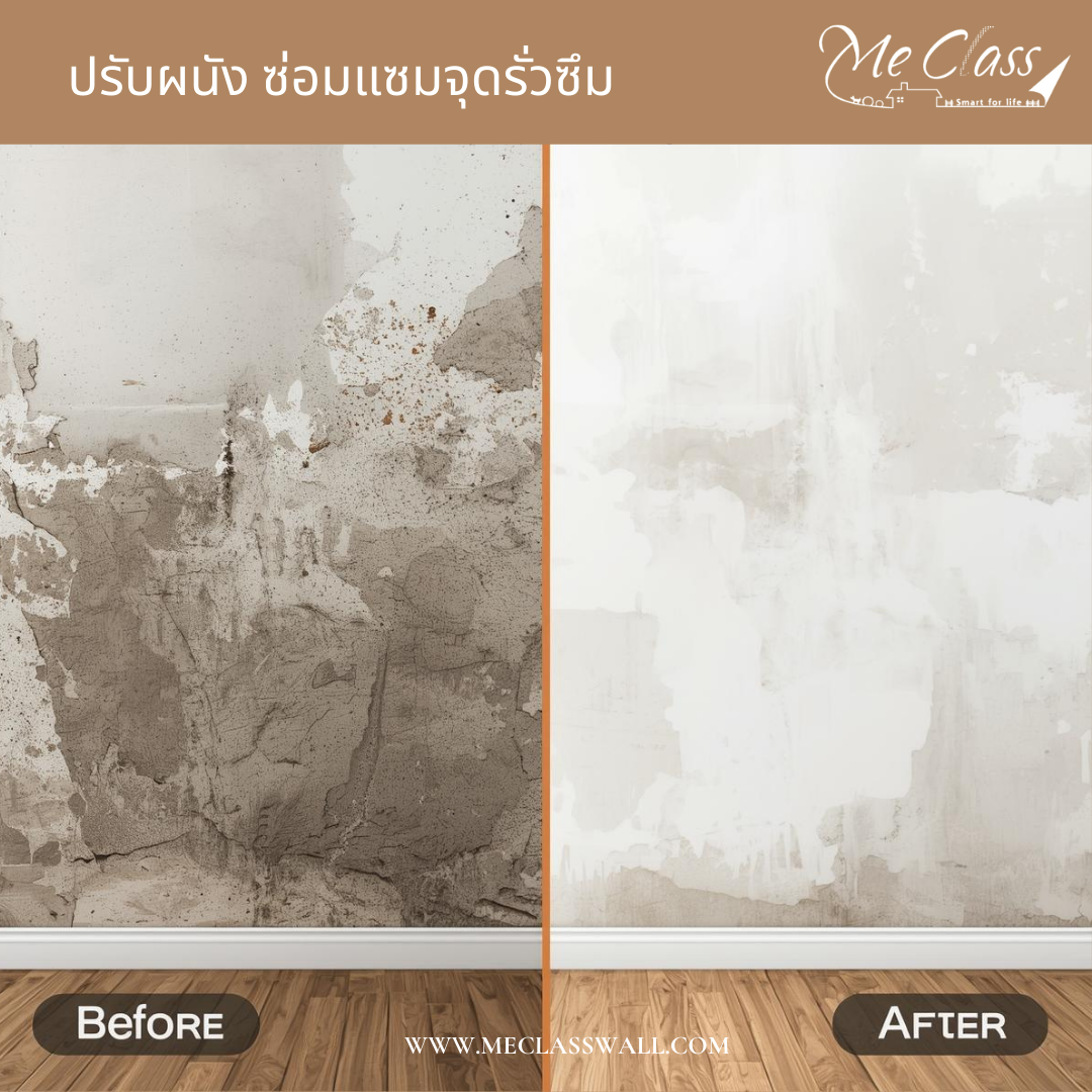 ร้านวอลเปเปอร์ บอกลาเชื้อรา