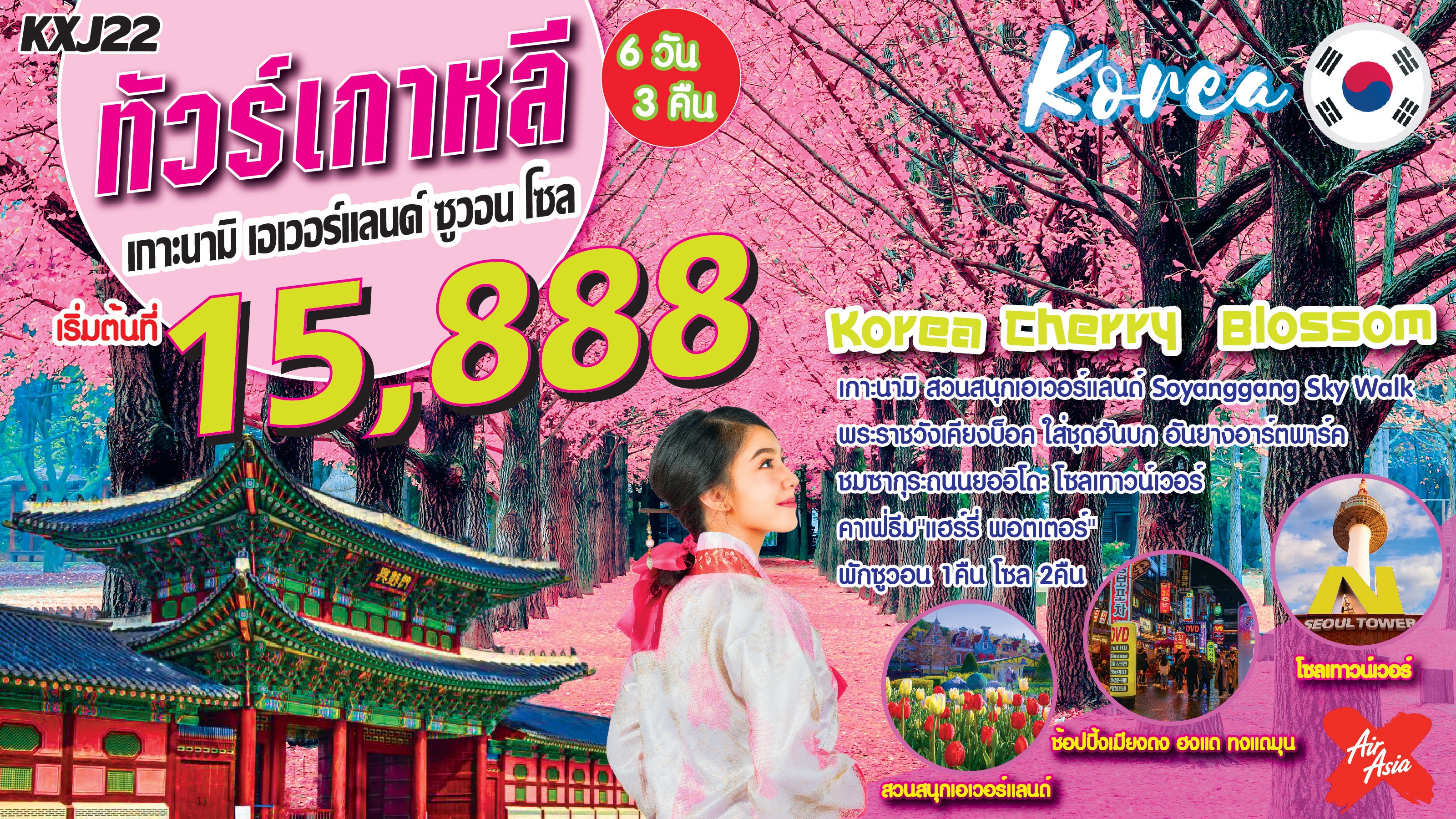 ทัวร์เกาหลี IT-KXJ22 Korea Cherry Blossom เกาหลี ซูวอน โซล 