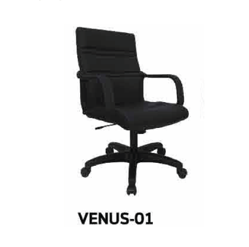 VENUS-01