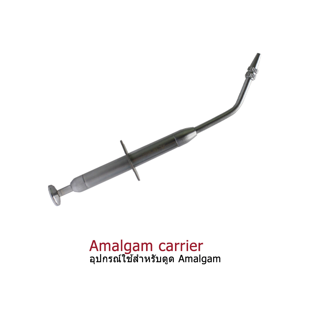 Amalgam carrier