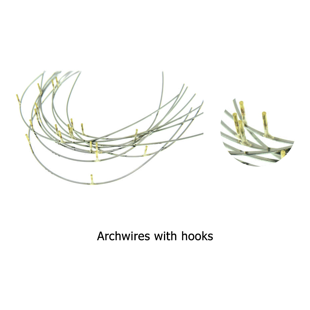 ARCHWIRES WITH HOOKS