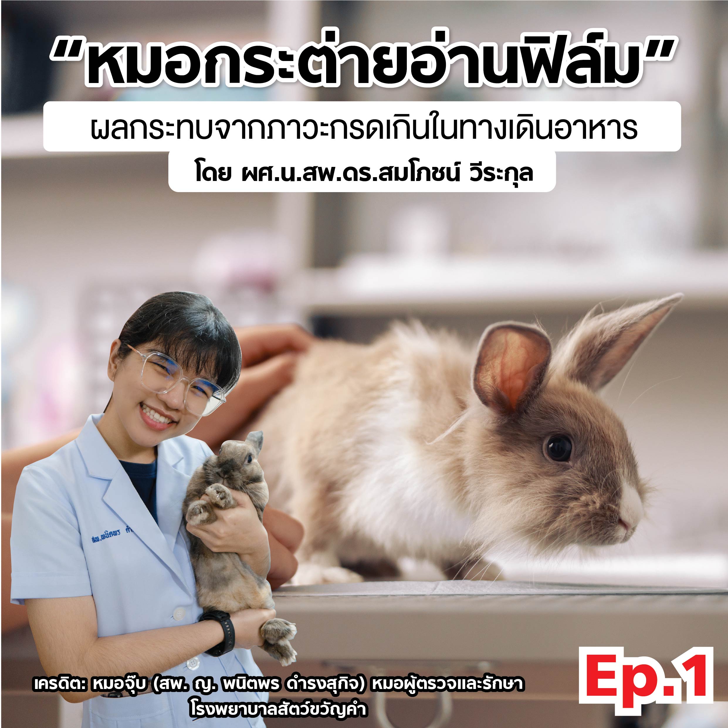 “หมอกระต่ายอ่านฟิล์ม” EP1: ผลกระทบจากภาวะกรดเกินในทางเดินอาหาร