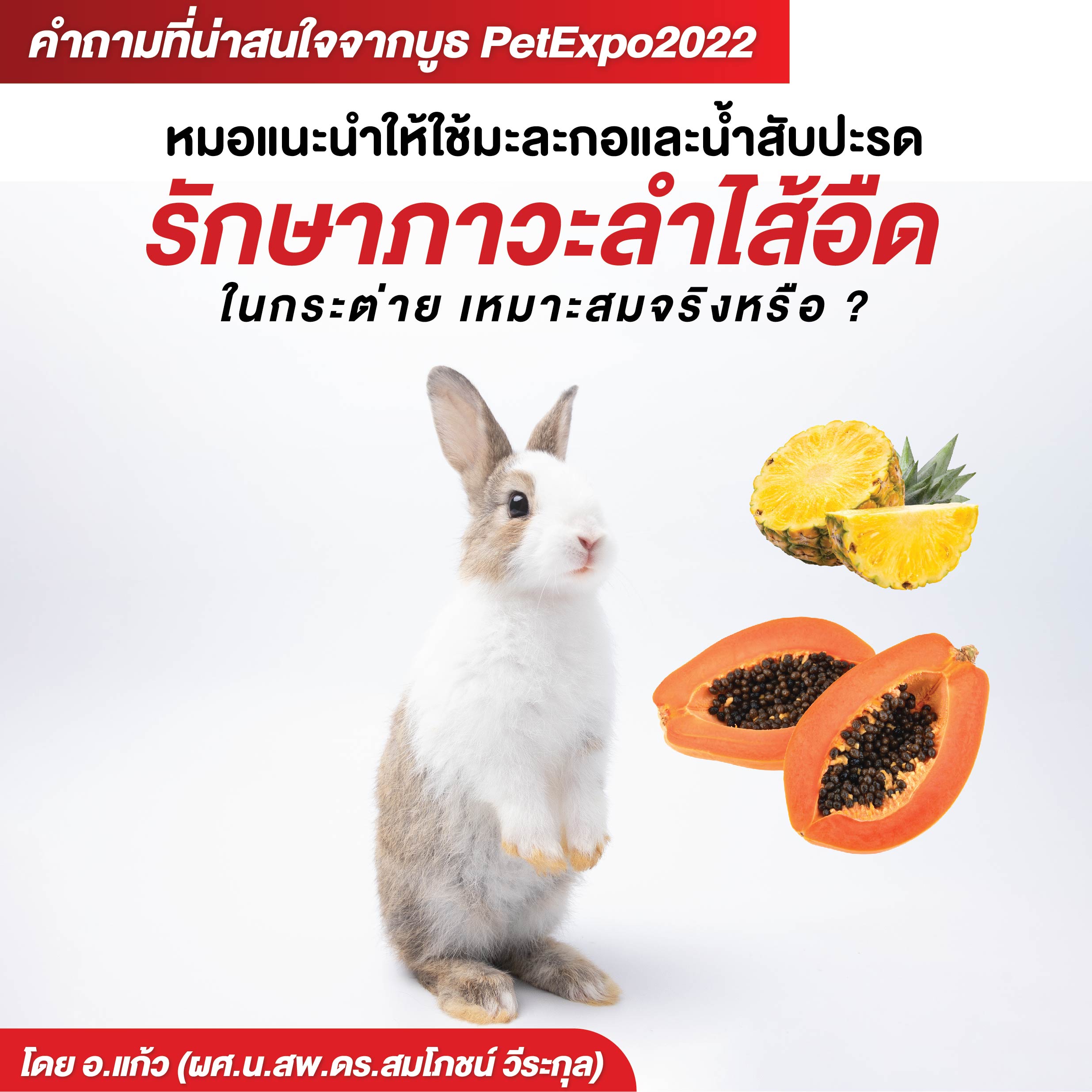 หมอแนะนำให้ใช้มะละกอและน้ำสับปะรดรักษาภาวะลำไส้อืดในกระต่าย? เหมาะสมจริงหรือ ?