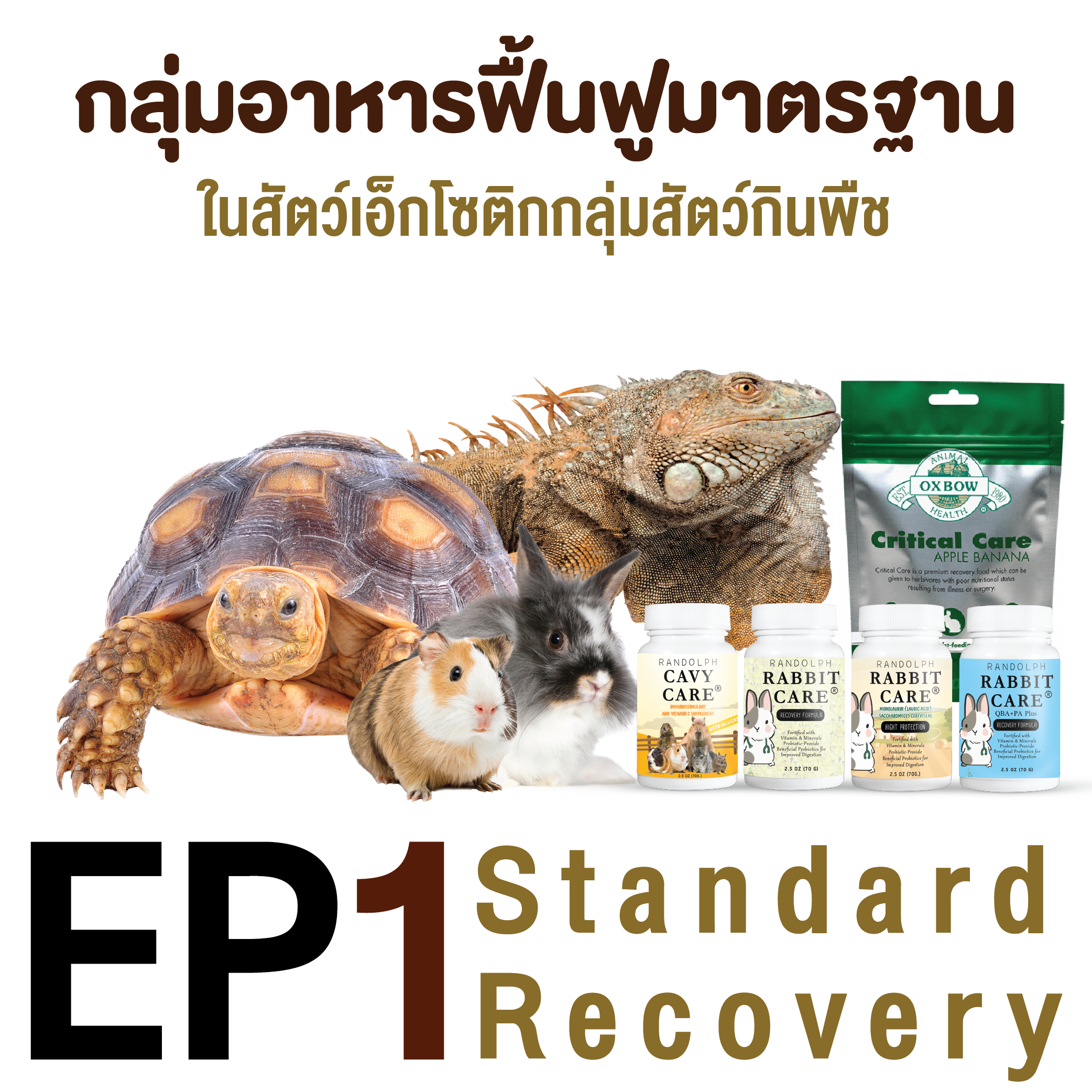 ep1. กลุ่มอาหารฟื้นฟูมาตรฐานในเอ็กโซติกกลุ่มสัตว์กินพืช standard recovery