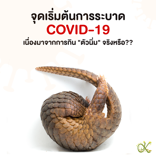 จุดเริ่มต้นการระบาด COVID-19 เนื่องมาจากการกิน "ตัวนิ่ม" จริงหรือ??