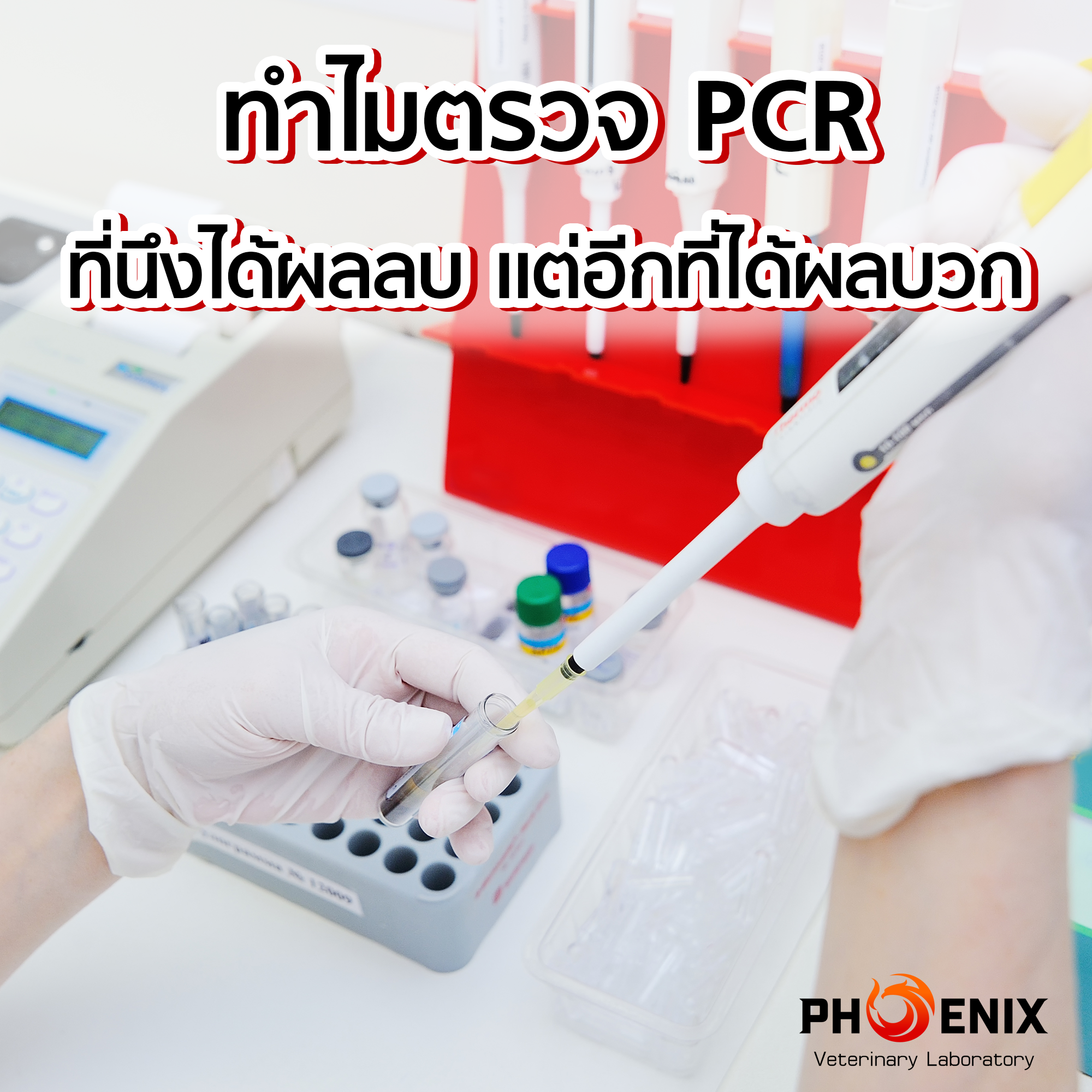 ทำไมตรวจ PCR ที่นึงได้ผลลบ แต่อีกที่ได้ผลบวก ??