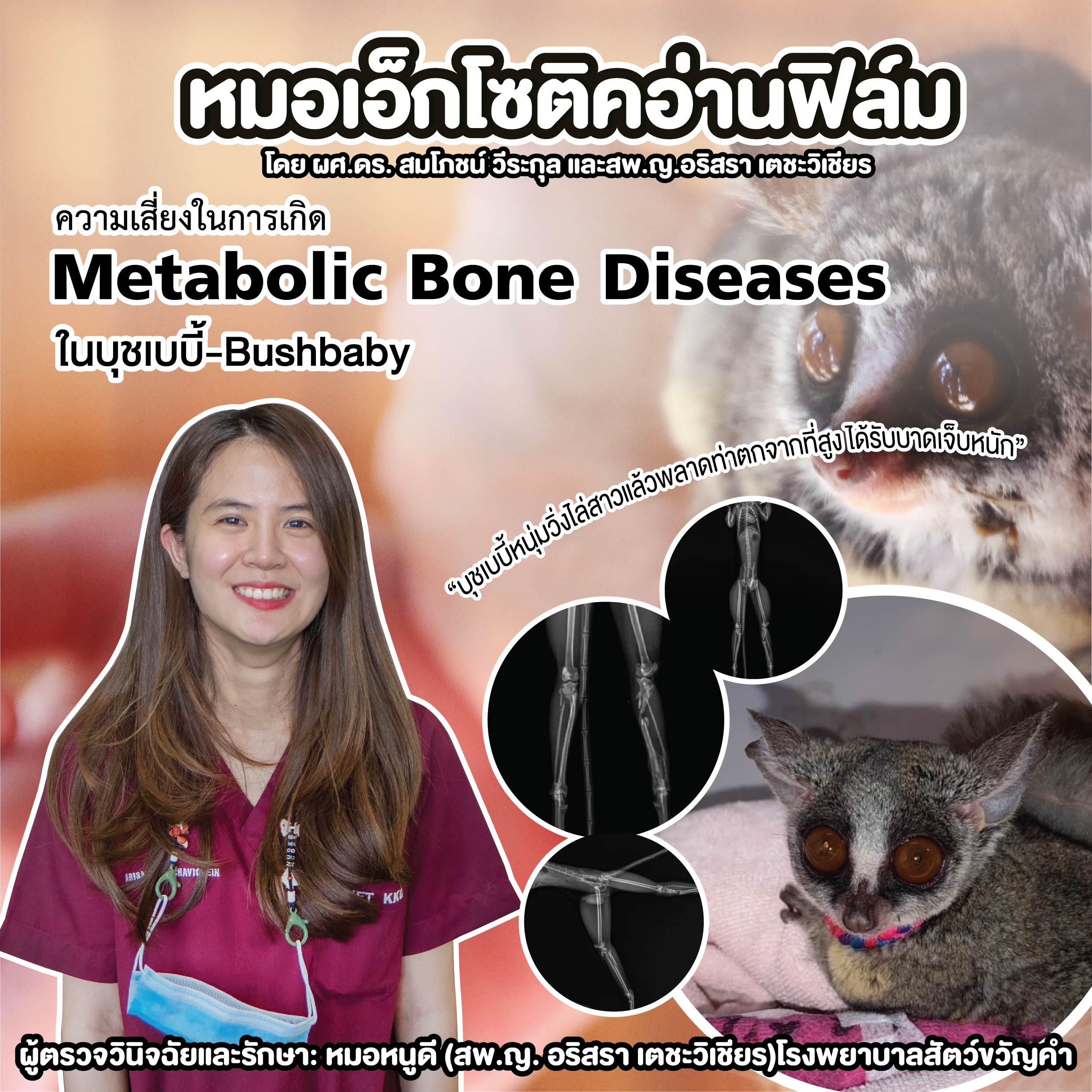 “ความเสี่ยงในการเกิด Metabolic Bone Diseases ในบุชเบบี้-Bushbaby”