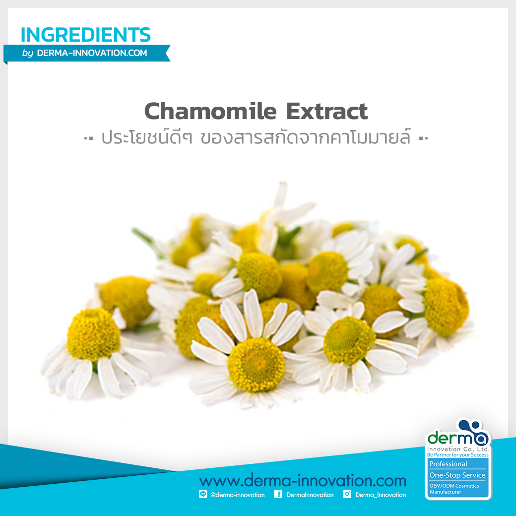 Chamomile Extract Dermainnovation