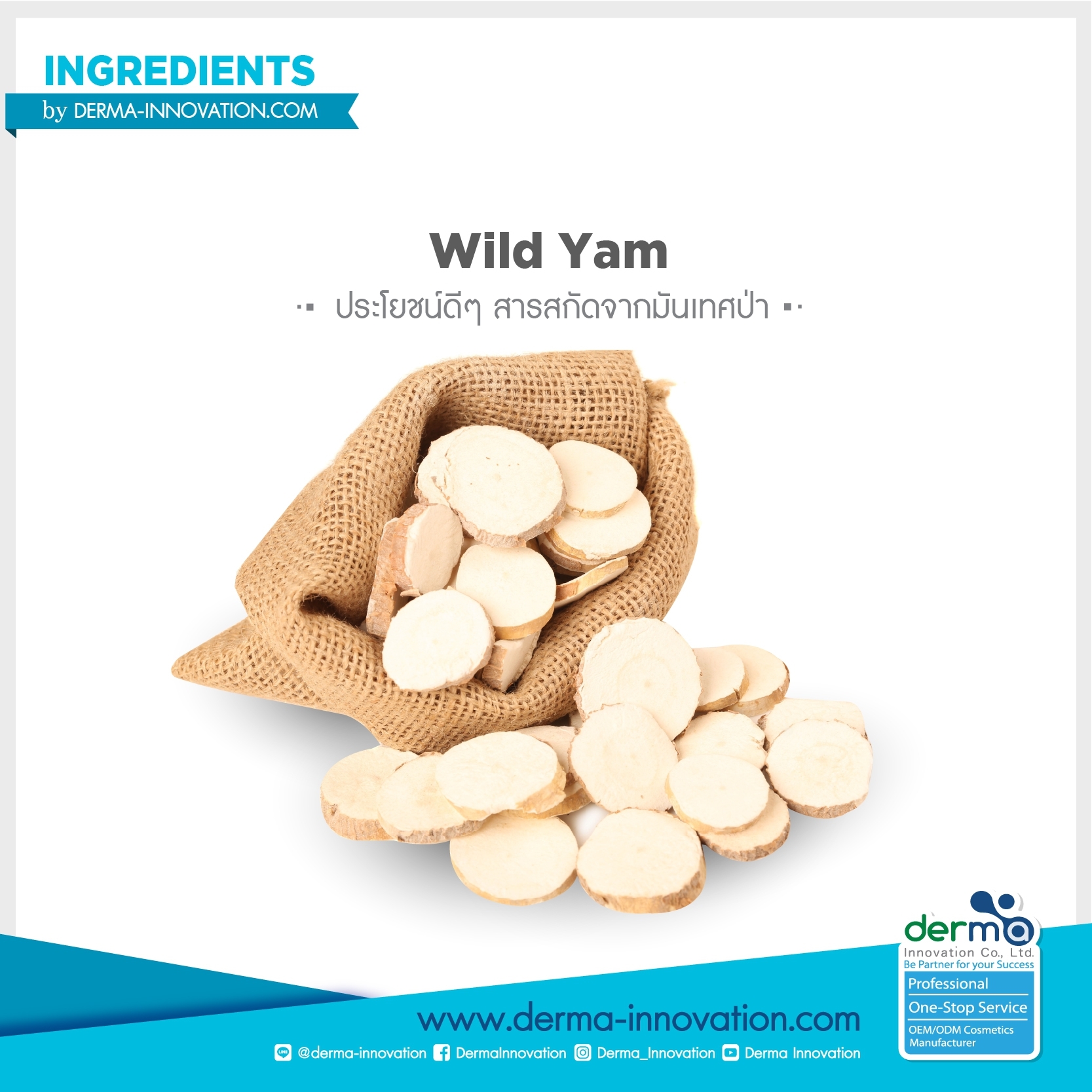 Wild Yam Extract Dermainnovation