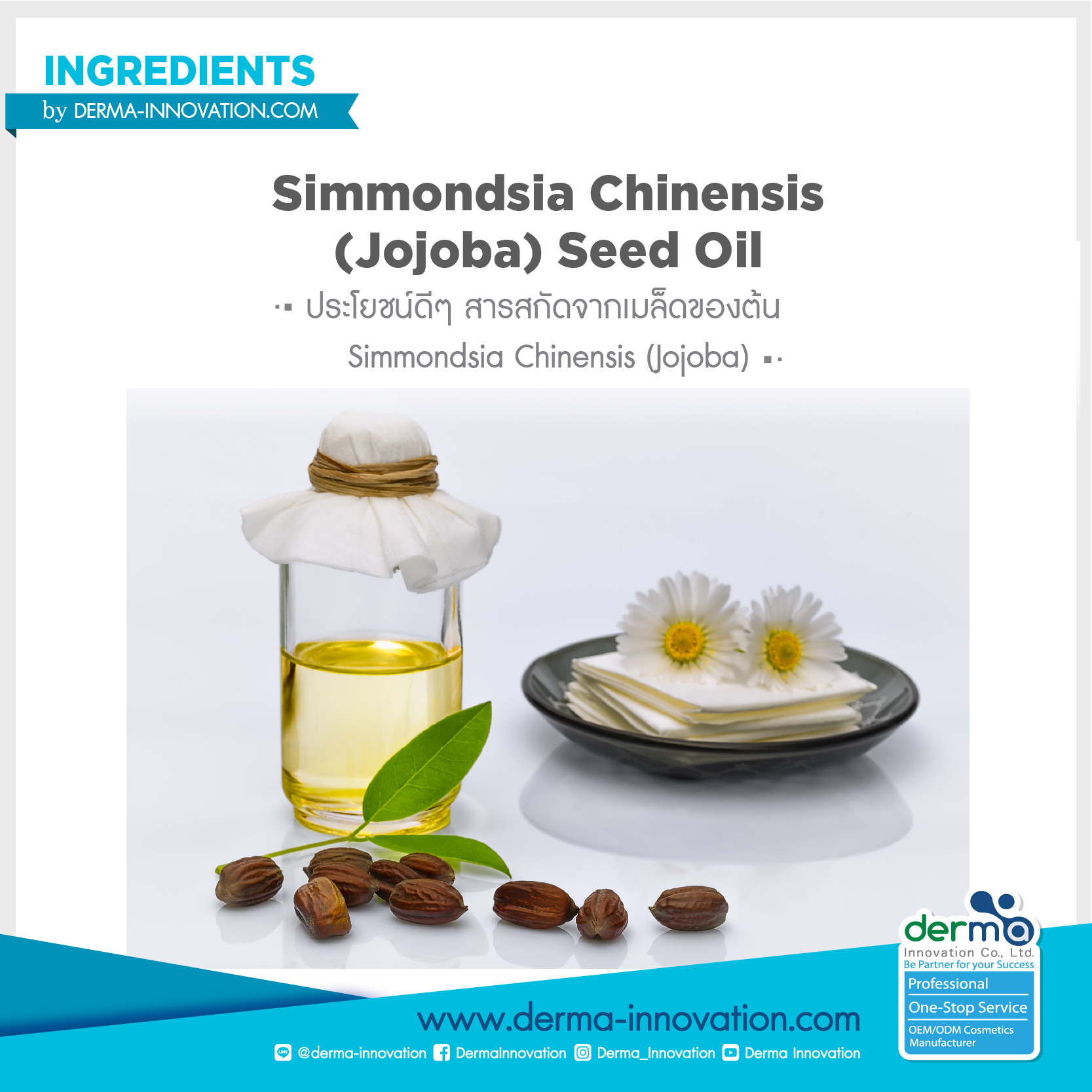 Simmondsia Chinensis (Jojoba) Seed Oil - Derma-innovation