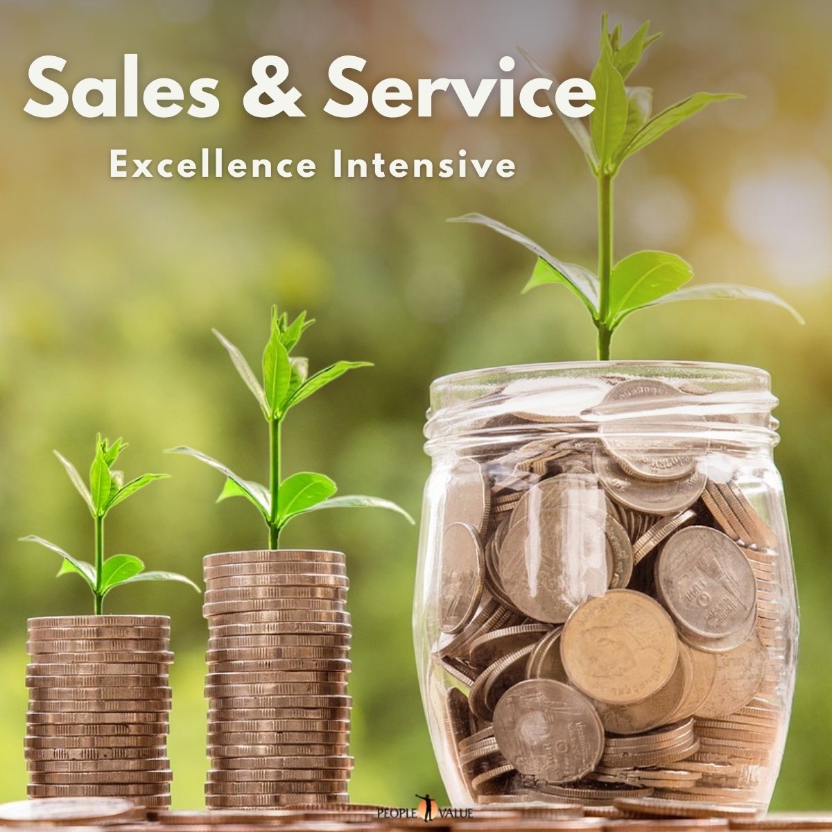 Sales & Service Excellence Intensive