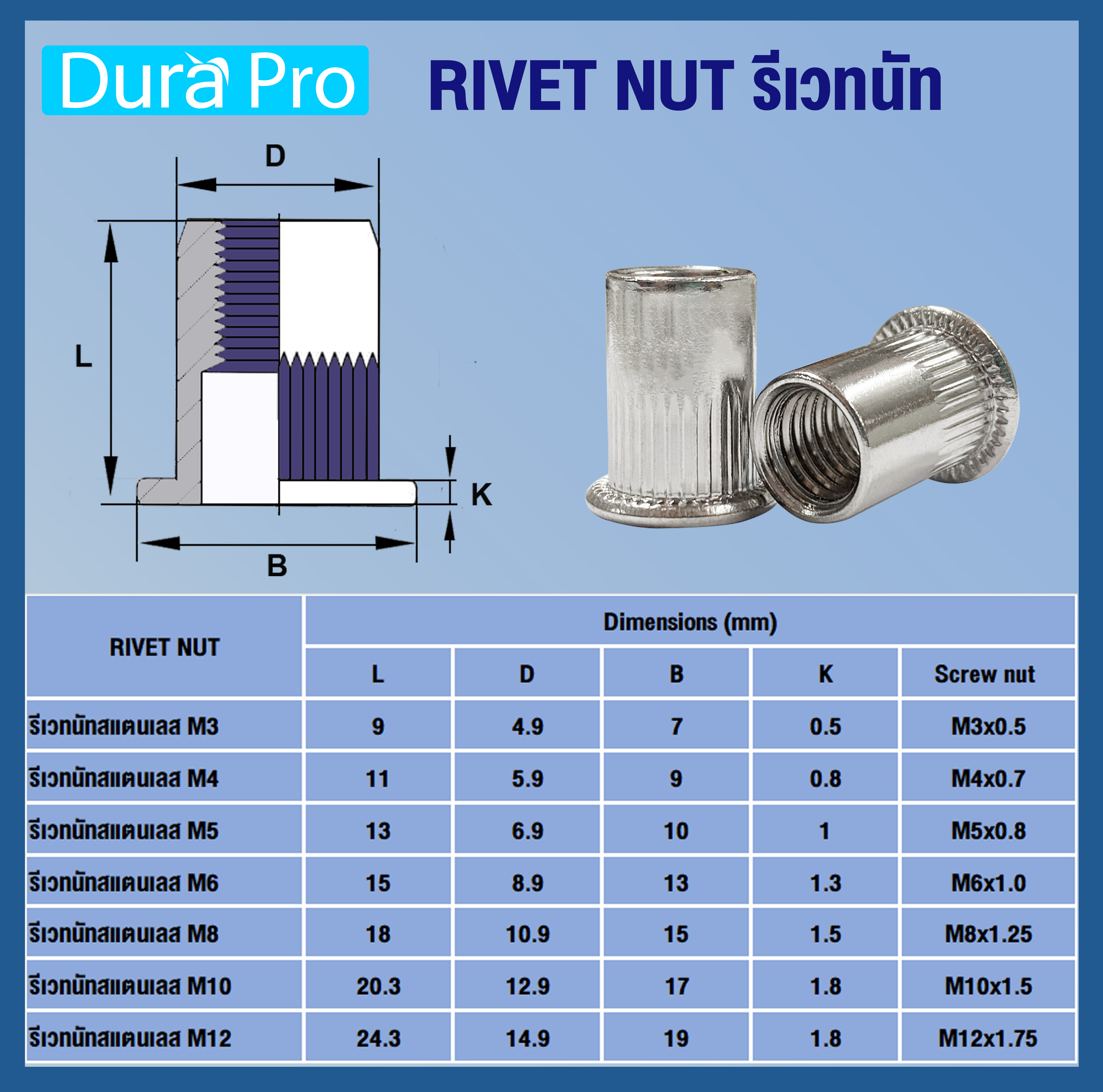 Extruded Riveting รีเวทนัทสแตนเลส ( STAINLESS STEEL RIVET NUT ) เบอร์ M4 ( แพ็ค 5 ชิ้น ...