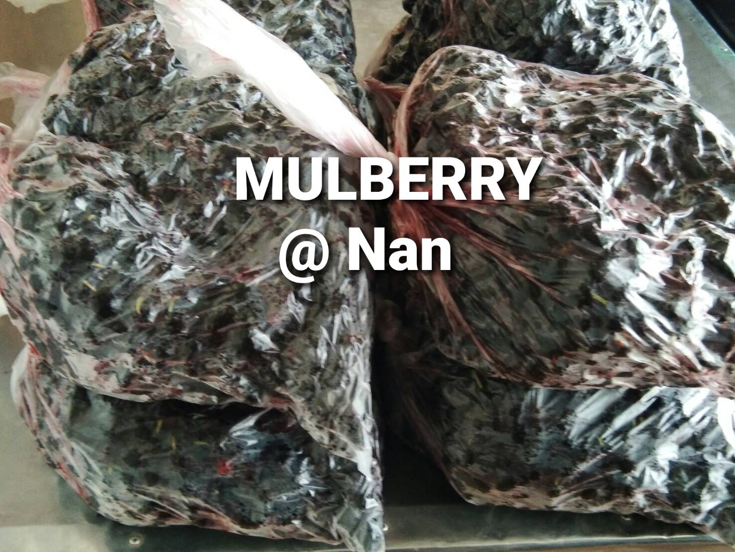 มัลเบอรี่สด/ลูกหม่อนสดแช่แข็ง Mulberry Fruit จำนวน2000 กก.