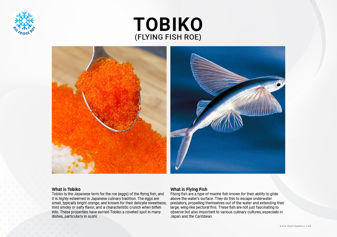 Tobiko Fish