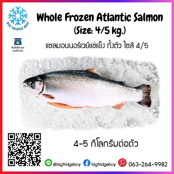 Whole Frozen Atlantic Salmon 4/5 (4-5 kg.)