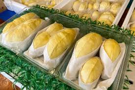 タイのドリアン2026：果物の王が世界市場へ ― プレミアムな風味と品質