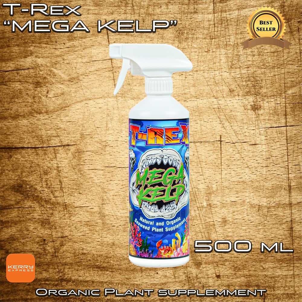 T-REX Mega Kelp น้ำหมักพ่นใบ จากสาหร่ายสกัด ขนาด 500 ml. หัวสเปรย์ Fermented Nutrient Spray for vegetative stage