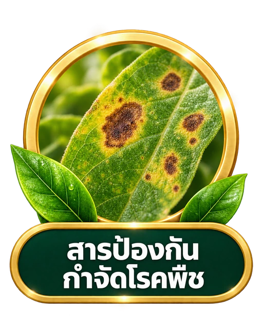 สารป้องกันกำจัดโรคพืช