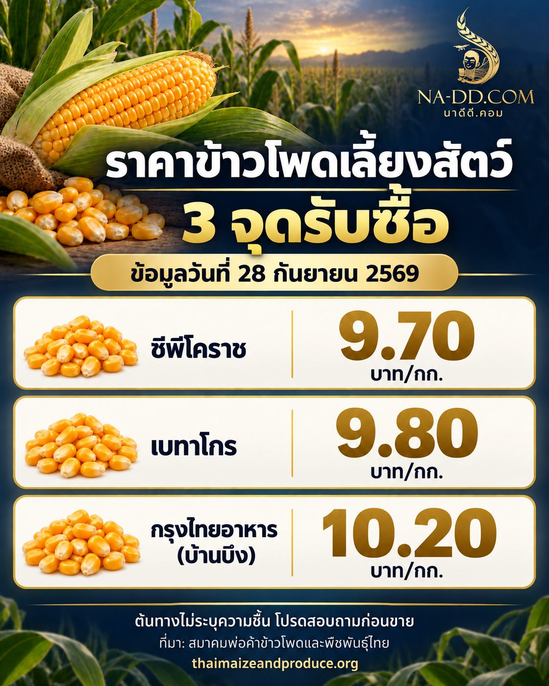 ราคาข้าวโพด 3 จุดรับซื้อ ข้อมูลวันที่ 28 กันยายน 2569