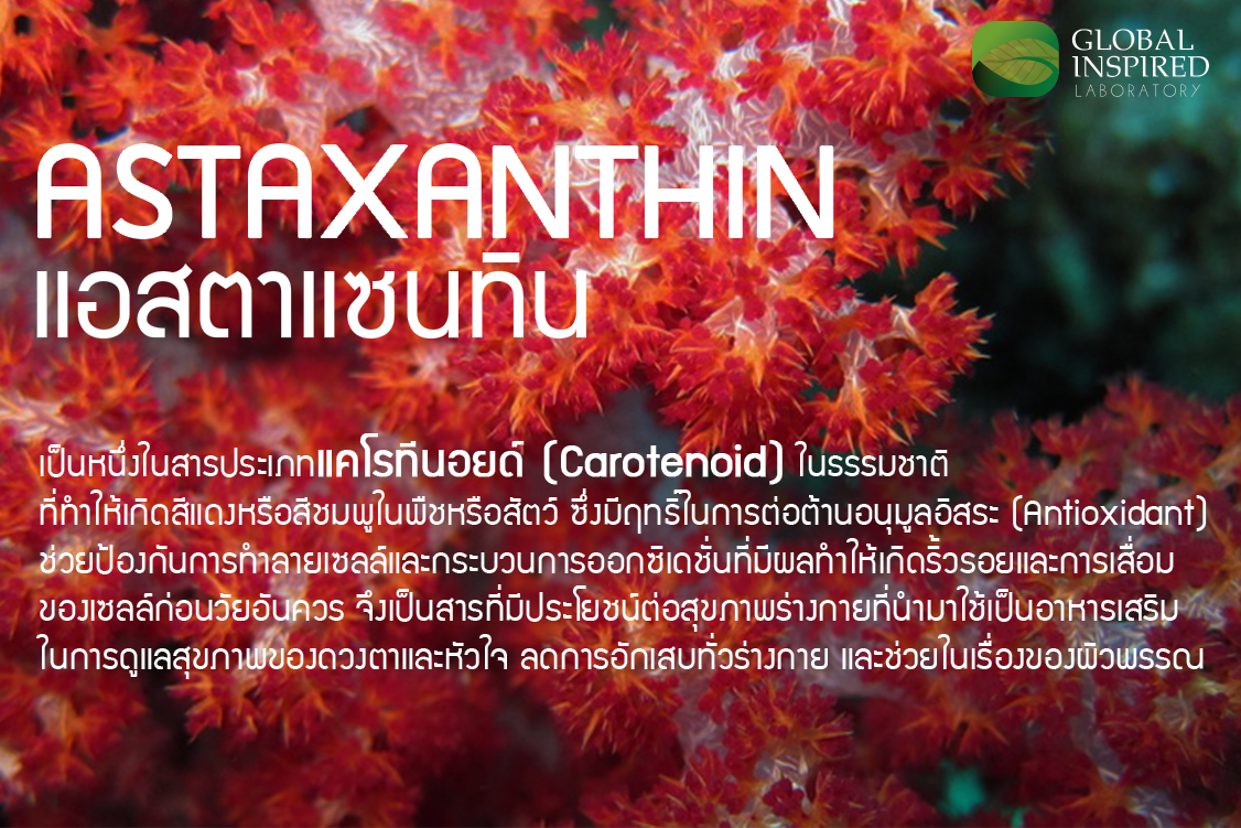 Astaxanthin คืออะไร?