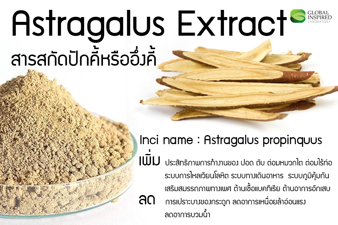 สารสกัด Astragalus Extract