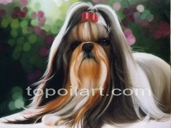 หมาชิสุห์ (Shih Tzu)