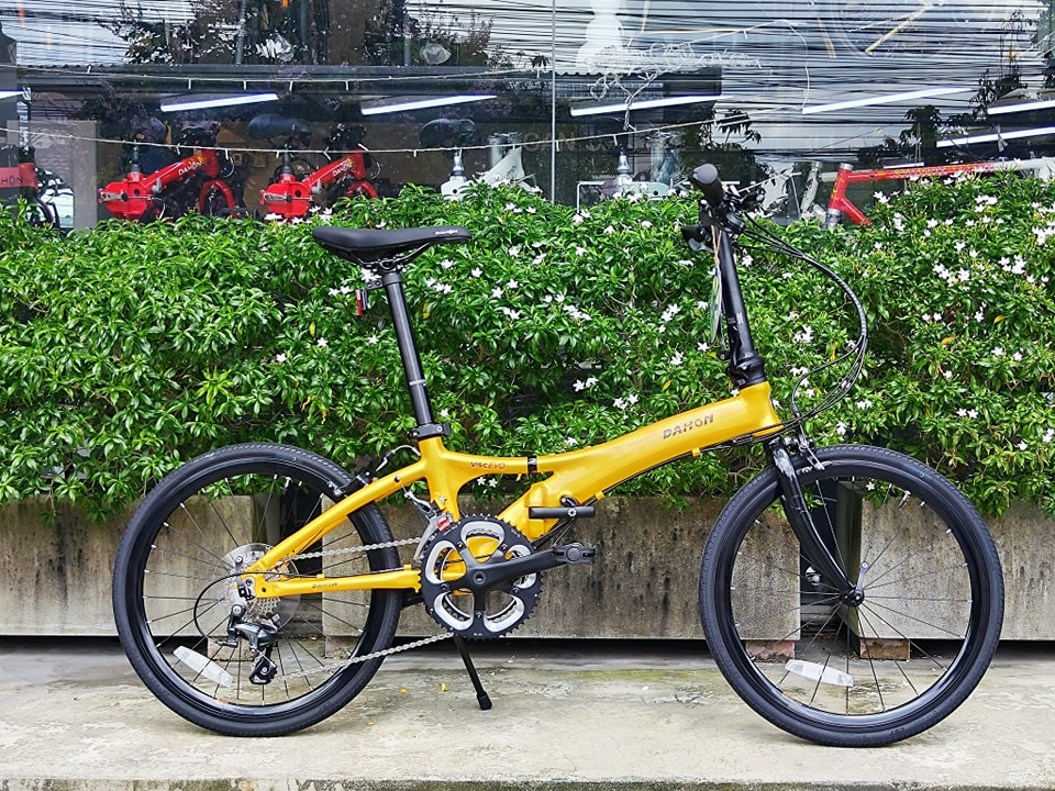 Dahon Visc Evo 20241