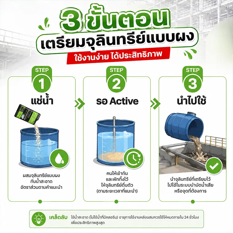 อินโฟกราฟิกแสดงขั้นตอนการแช่น้ำและปลุกจุลินทรีย์บำบัดน้ำเสียแบบผงก่อนใช้งาน