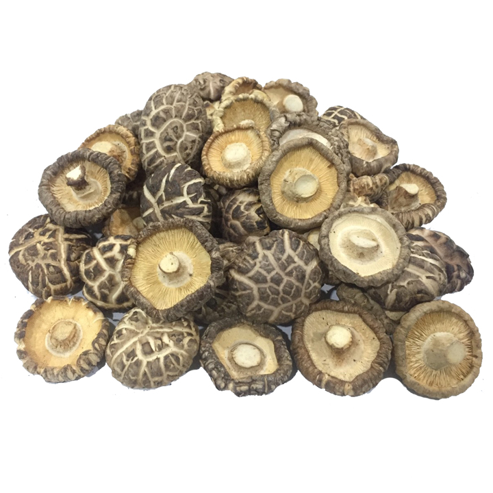 Japanese Shiitake Mushroom A4