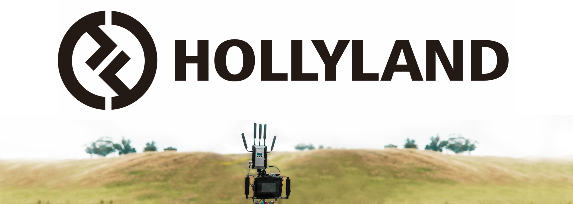 Hollyland - Swsgroup